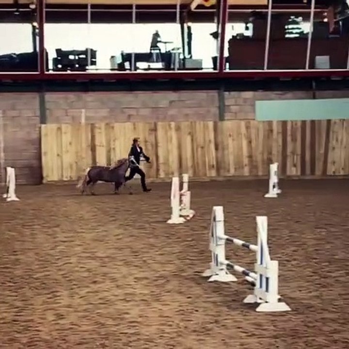 Quand un poney accomplie ses premiers sauts. Trop cute !