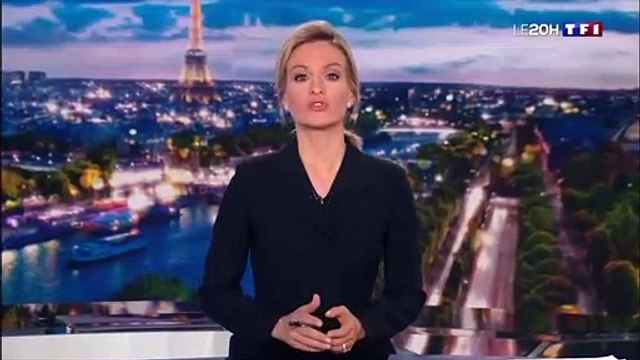 CAMEROUN - Éléphants d-Afrique - la traque des braconniers