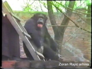 1988. 02. 23. Samijevo drugo bekstvo