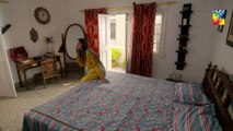 Mere Humdam Episode #14 HUM TV Drama 30 April 2019