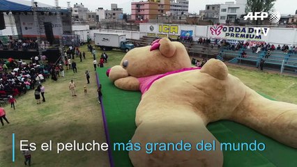El oso de peluche más grande del mundo