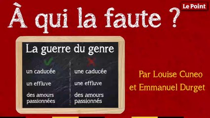 À qui la faute ? #7 : la guerre du genre n'aura pas lieu