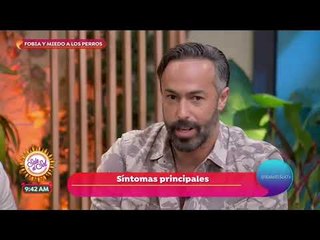 Principales síntomas de la fobia a los perros | Sale el Sol