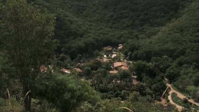 Sebastião Salgado y Lélia Wanick logran reforestar un bosque en Brasil