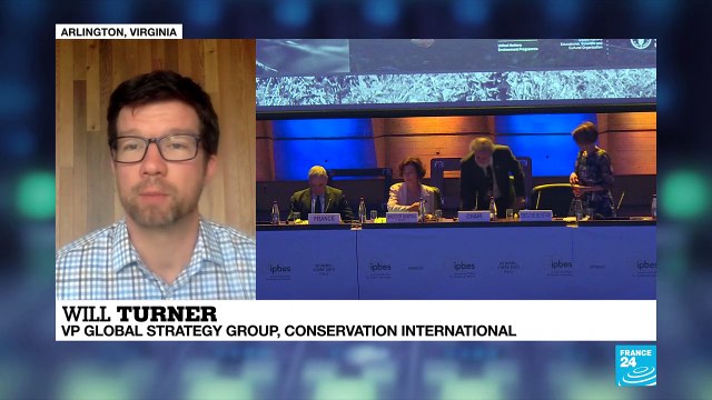 Biodiversity summit: 'Clearest message to date we're destroying the biodiversity humanity depends on'