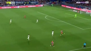 Andy Delort Goal Montpellier	2-2 Paris SG 30.04.2019