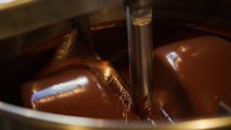 Dandelion Chocolate's New Factory