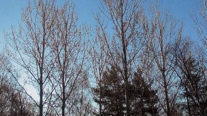 Apr 13 2019 DL2