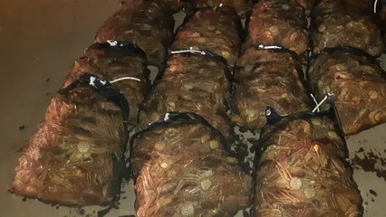 암컷 대게 3천400여 마리 운반한 30대 구속 / YTN