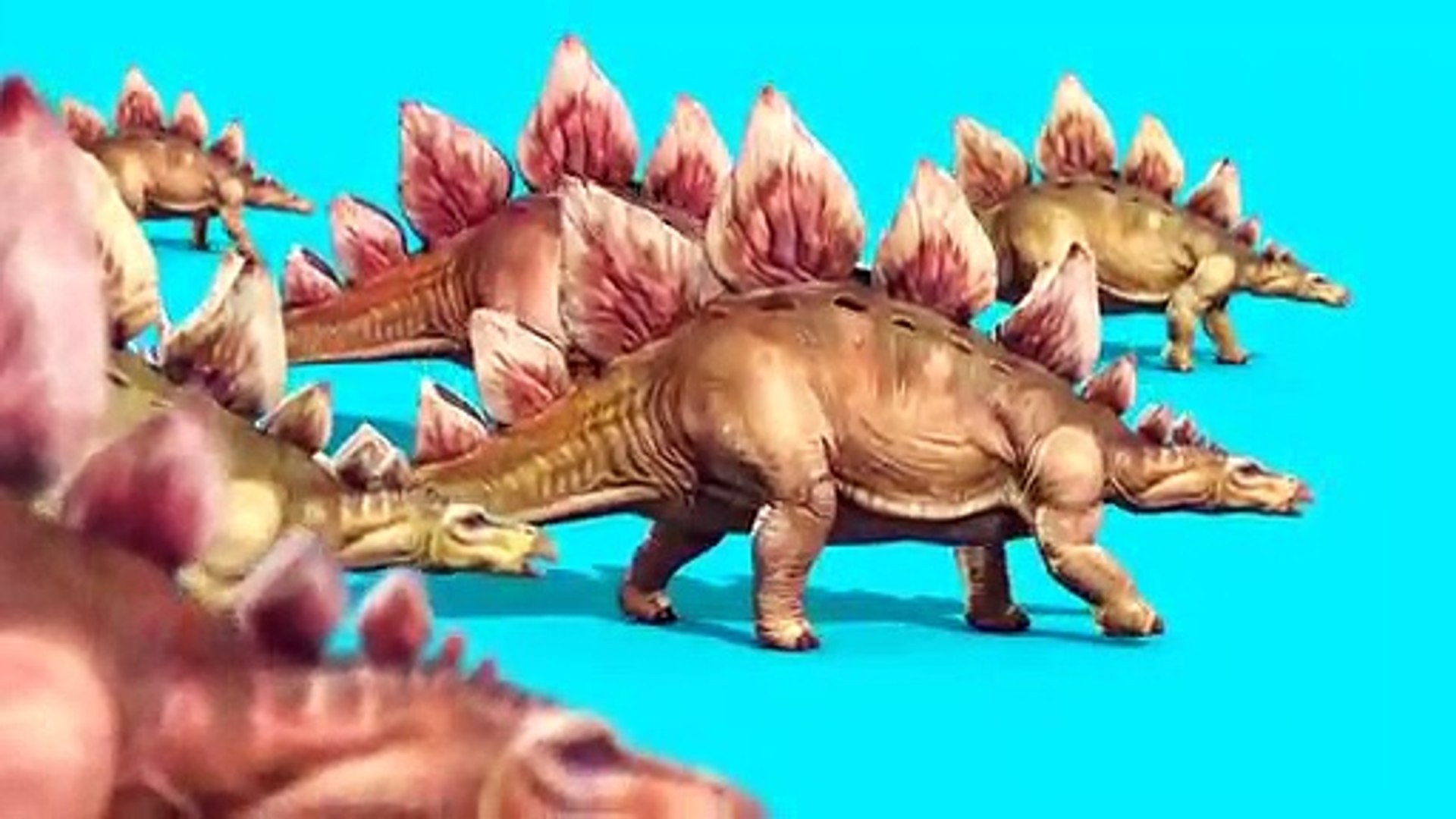 ⁣Anmal Videos / Dinosaurs Videos / Animated Videos
