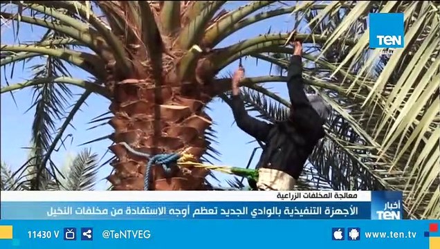 الاجهزة التنفيذية بالوادي الجديد تعظم أوجه الاستفادة من مخلفات النخيل