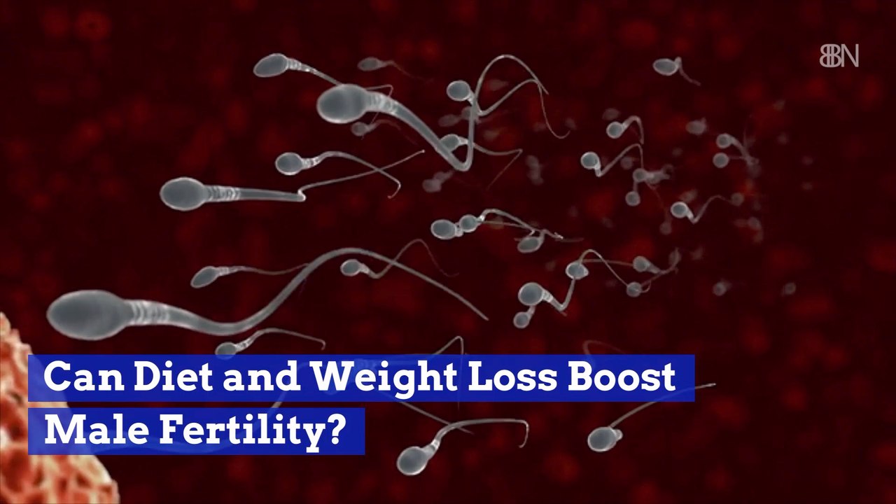 Could The Male Fertility Rate Be Related To Diet