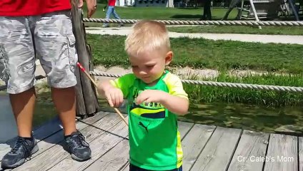 Best of Funny Animals & Babies Compilation 2018 - Cute Babies and Pets - YouTube