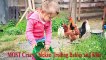 TRY NOT TO LAUGH- MOST Crazy Chicken Trolling Babies and Kids- Funny Babies and Pets - YouTube