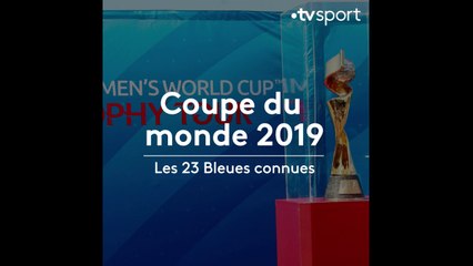 Les 23 Bleues pour la Coupe du monde
