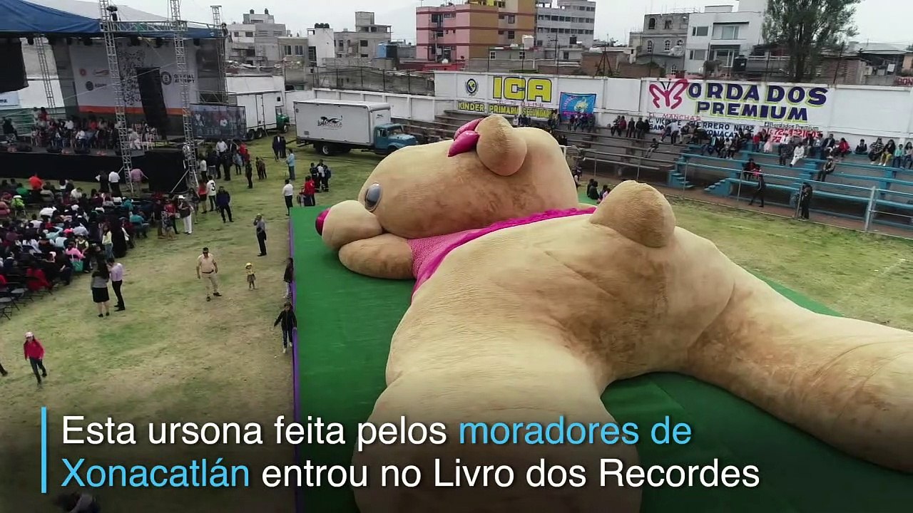 Fofura recordista