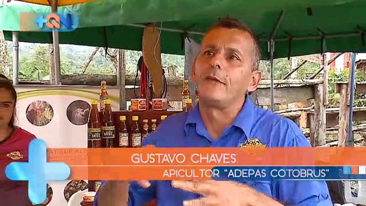 +QN 29 Abril 2019