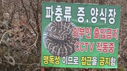 '뱀 키우는 척' 더 은밀해진 외국인 마약 사범 123명 검거 / YTN