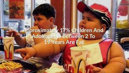 Diet Plans To Lose Weight Fast !