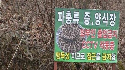 '뱀 키우는 척' 더 은밀해진 외국인 마약 사범 123명 검거 / YTN