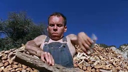 Saint Bernard Movie Clip - Naughty, Naughty