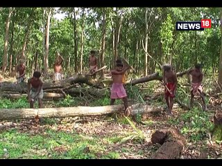 चित्रकोट जलप्रपात और इंद्रावती नदी पर मंडरा रहा जल संकट
