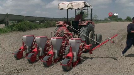 Beyaz altın toprakla buluştu...Domatesi ile meşhur Antalya’da pamuk ekimi başladı