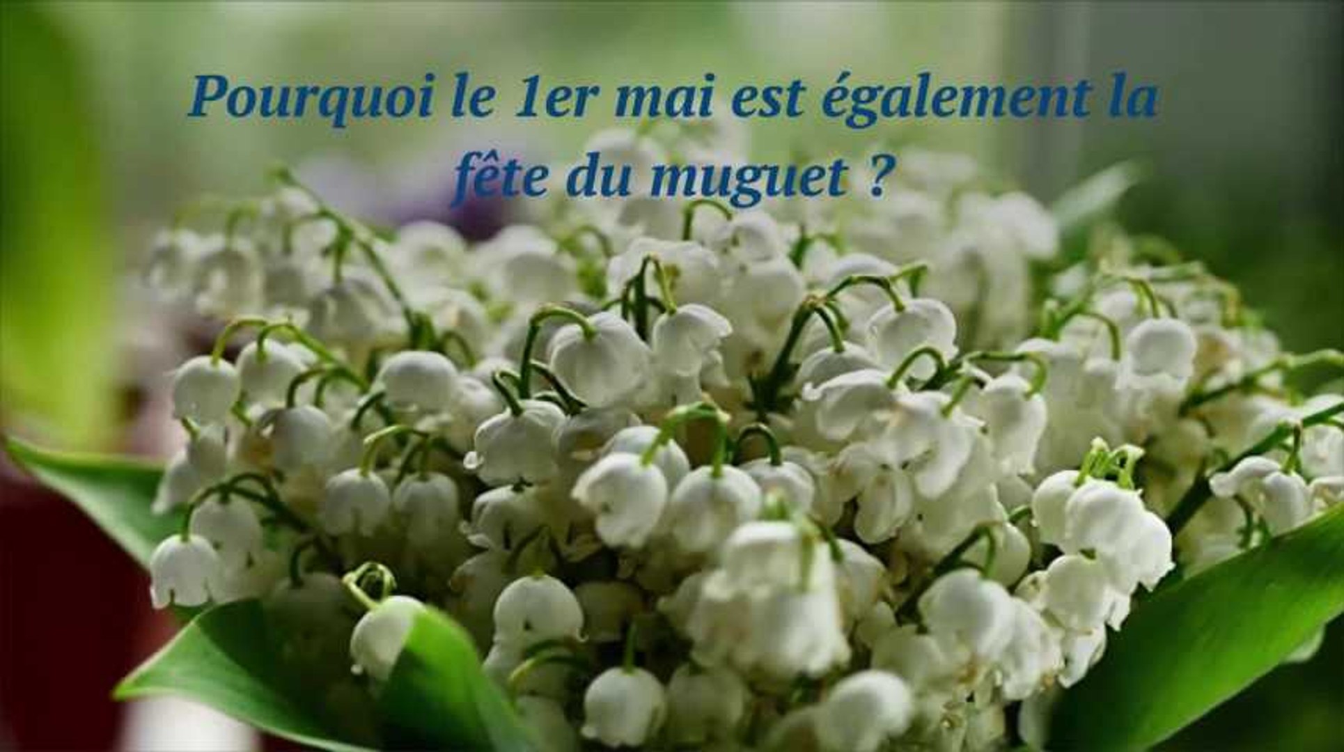 Pourquoi Le 1er Mai Est Egalement La Fete Du Muguet Video Dailymotion