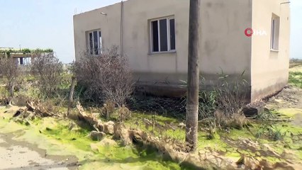 Amik Ovası’ndaki sular çekiliyor