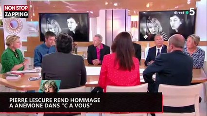 Pierre Lescure rend hommage à Anémone dans "C à vous" (vidéo)