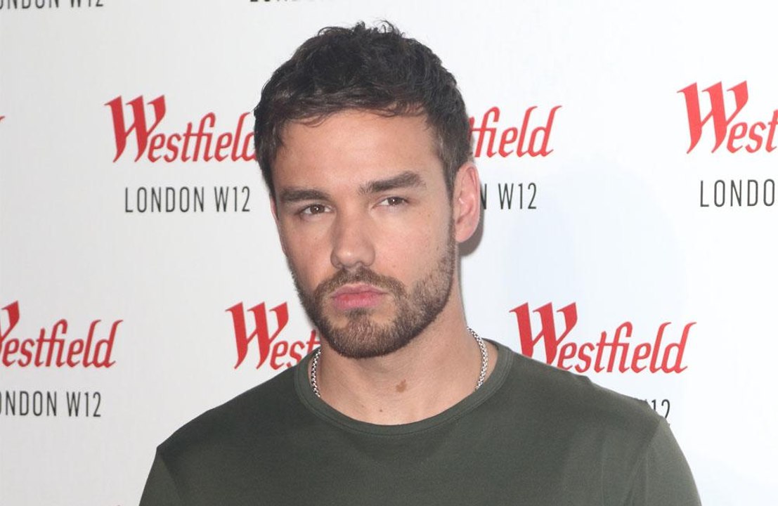 Liam Payne dating Stella Maxwell?