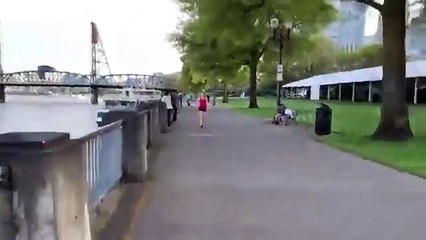 Un T-Rex fait du jet ski