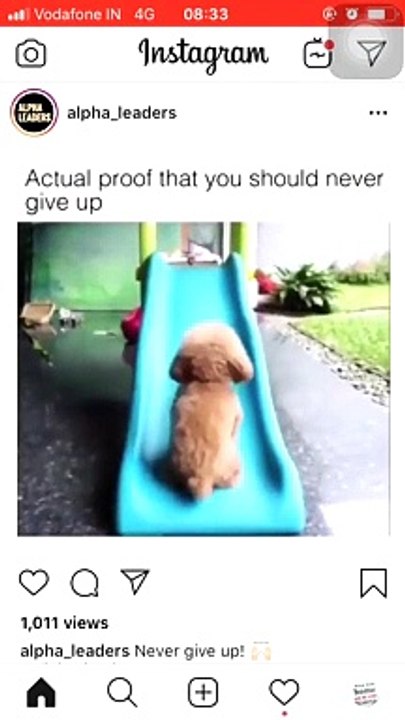 Never give up