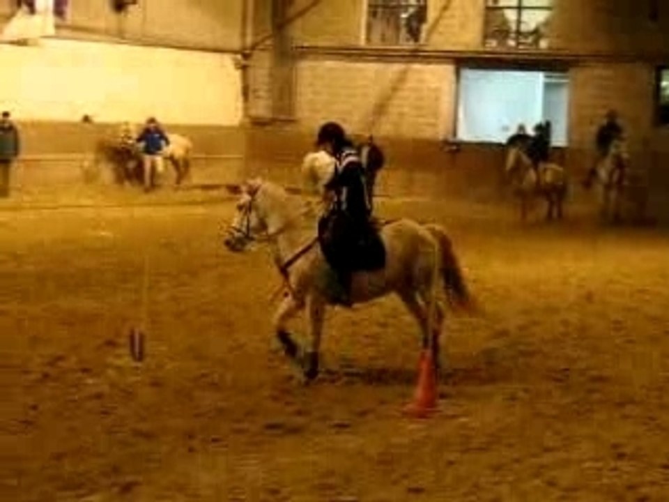 Pony- Games Open Elite