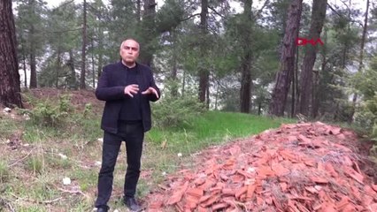 Mersin Çam Ormanları Moloz ve Atıklara Teslim