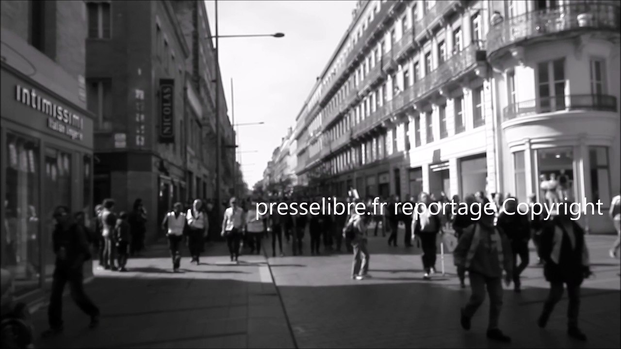 Manif du 1er mai Toulouse 2019