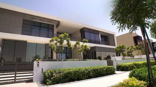 Dilanka Realtor - District One Contemporary Mansion