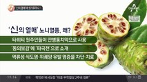 ‘신의 열매’에 쇳가루라니…