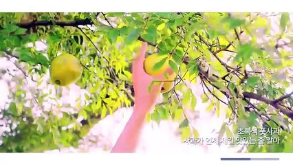 (예천출장마사지) ##D 100%후불-【 Ø1Ø↔6686↔5378 카톡fc81】예천출장안마, 예천출장안마후기, 예천출장안마'만족τ예천출장안마'만족도1위 20대여대생의 최상위 서비스