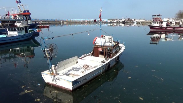 Kıyı balıkçıları lüfer ve çinekopa hazırlanıyor - DÜZCE