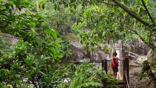 SPECTACULAR WATERFALLS & LIVING ROOT BRIDGES IN CHERRAPUNJI, Assam.India. Nature  PT 2