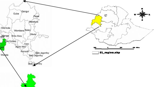 Ethiopian Reporter TV Amharic News May 01/2019
