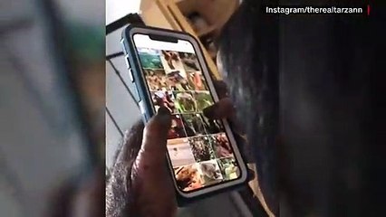 Ce singe, roi des réseaux sociaux, inquiète les scientifiques