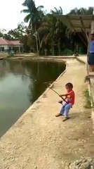 Incredible ... A child this small can attract giant fish ... !!