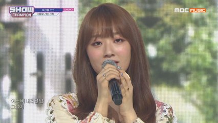 Show Champion EP.314 A train to autumn - Spring rain)