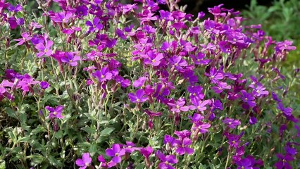 La Tour-du-Pin : un concours de reconnaissance des végétaux au lycée horticole