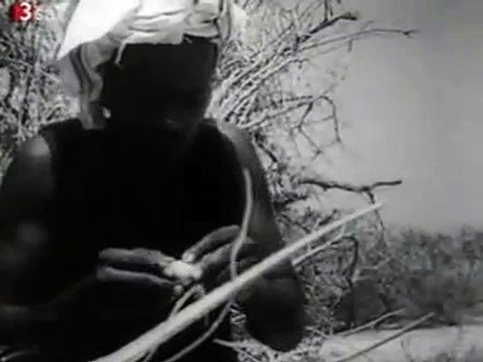 Han Hass Diving in the Red See 2