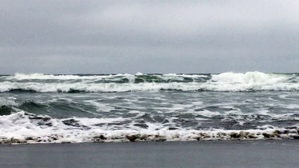 Dream Bubble One Minute Nature Bath 57