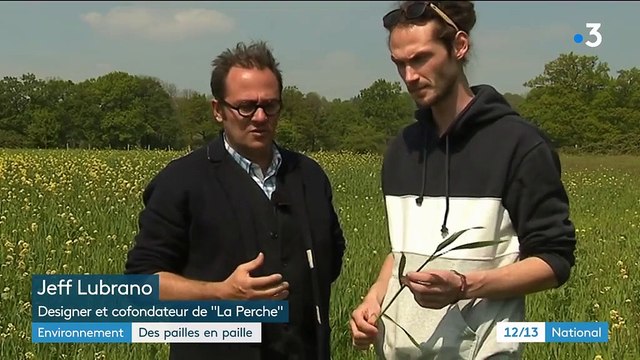 Environnement : des pailles faites en paille