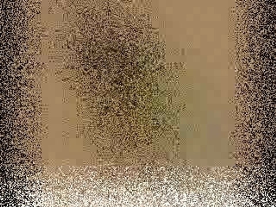 Bienvenue chez les chti